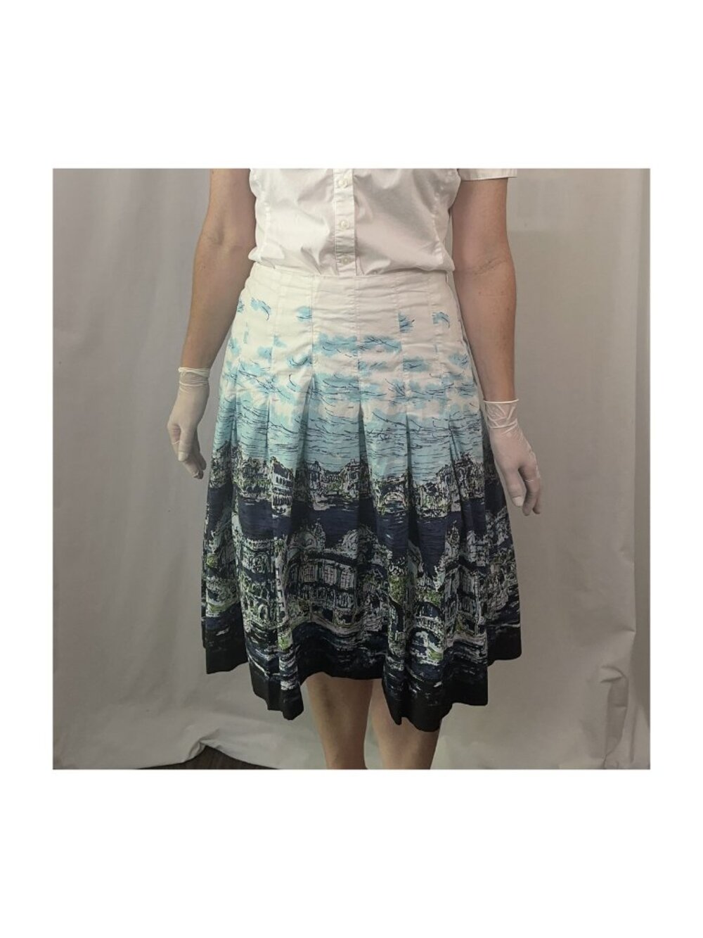 Talbots Venice Italy Canal Scenic Novelty Print Pleated Skirt - Size 14